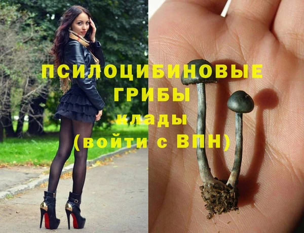 стаф Алексеевка