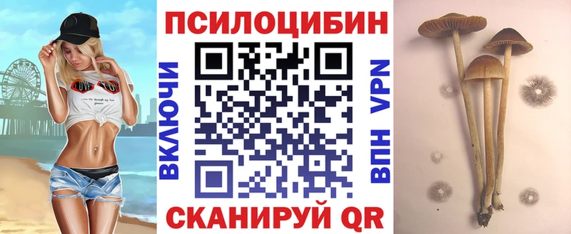 купить наркотик  Ардон  Псилоцибиновые грибы мицелий 
