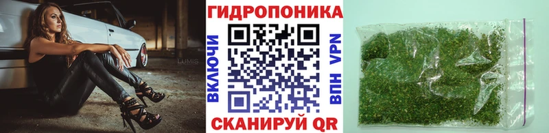 закладки Ардон Конопля MAZAR